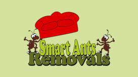 Smart Ants Removals