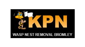 Wasp Nest Removal Bromley